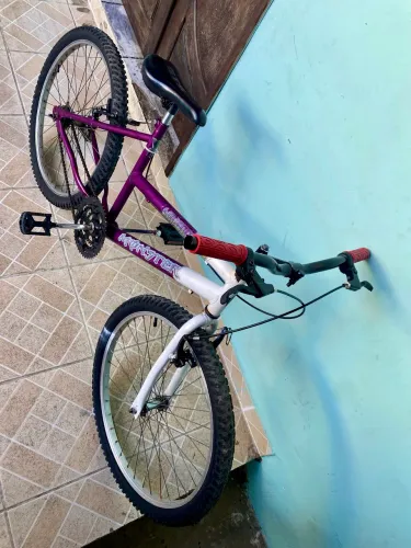 Bicicleta aro 24