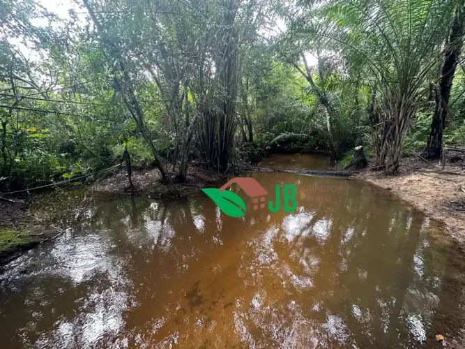 Sitio de 4 hectares com rio perene no Município de Pedras de Fogo