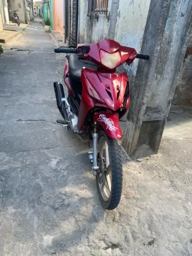 Shineray Phoenix S 50 2025