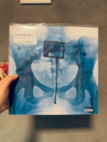 Lp Lorde - Virgin (picture disc, gatefold)