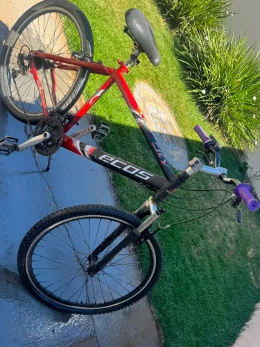Bicicleta
