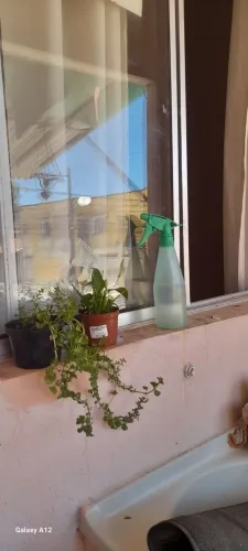 Kitinete 1 quarto