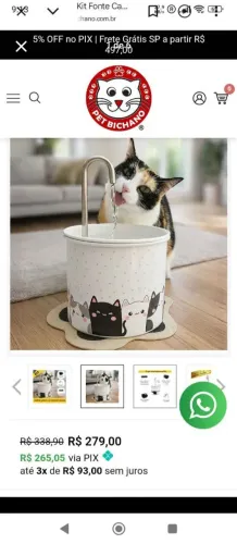 Kit fonte cats bebedouro novo