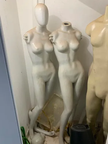 Manequins adultos