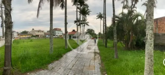 Terreno com casa à Venda em Florianópolis Ribeirão da Ilha Rodovia Baldicero Filomeno, 2