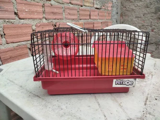 Gaiola para hamster pequena completa