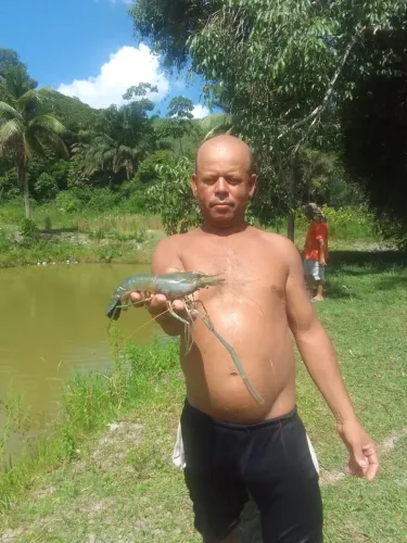 Alugo estrutura para criação de peixe e camarão!!