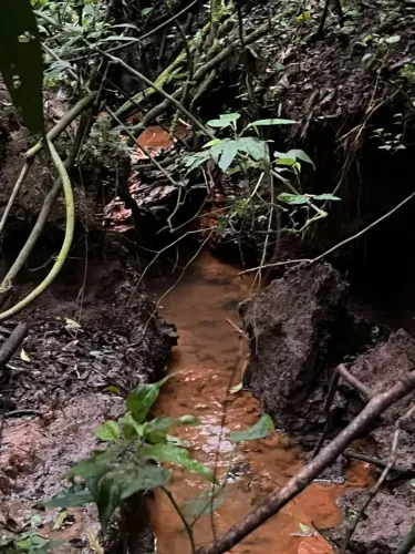 Ótimo lugar para chácara e sítio em quitandinha