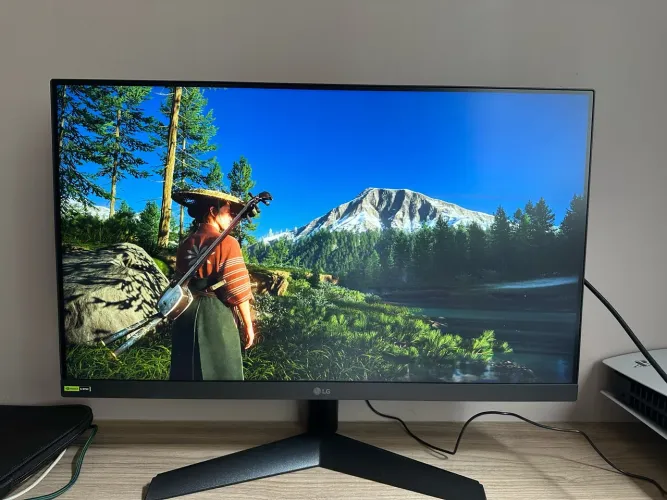 Monitor LG ULTRAGEAR