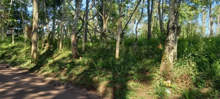 Terreno em Embura - São Paulo