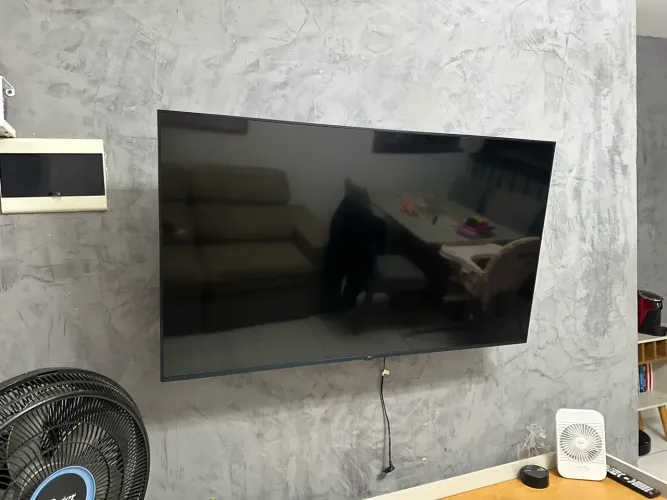 Tv LG 50 polegadas (leia a descrição)