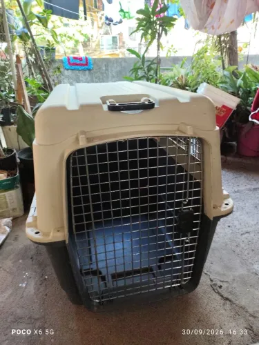 Caixa de Transporte para Cães e Gatos Gomoov G usada 1 vez <br>