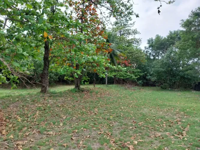Terreno em ótima localização com 3.000 m² em Maria da Graça - Rio de Janeiro
