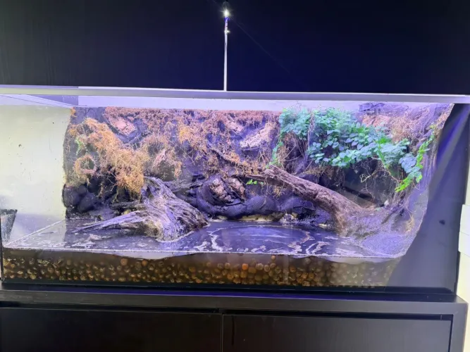 Terrario Grande - 1.2m frente