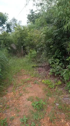 Terreno á Venda no Loteamento Rainha da Paz I Chapadinha/PI