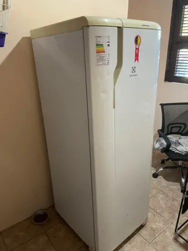 Geladeira Electrolux Frost Free (leia a descrição)