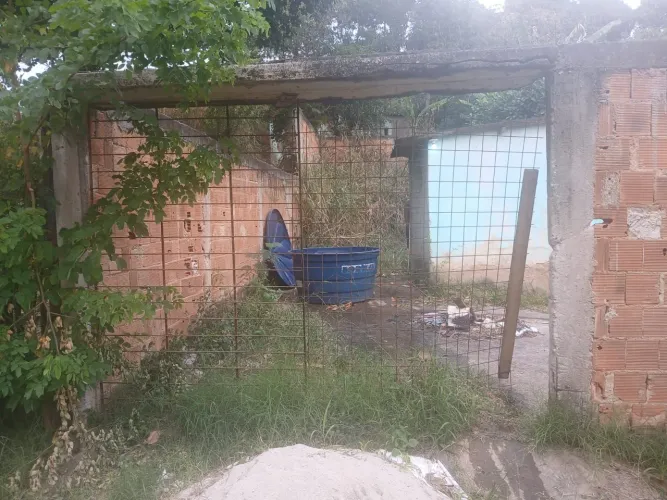 Vendo