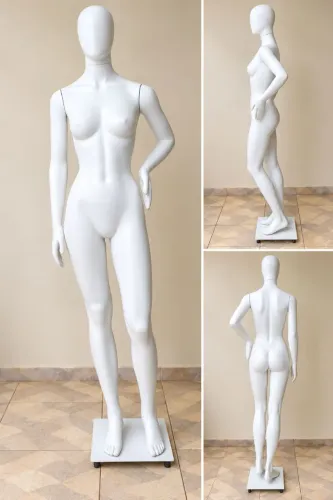 Manequim feminino adulto 