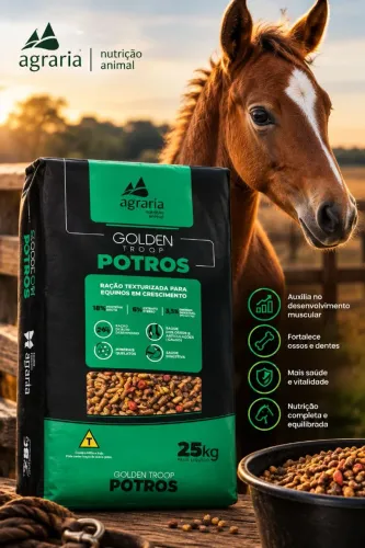 Ração Golden troop potro 25kg