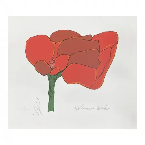 Aldemir Martins - Gravura Original Assinatura Gravada 26x28 cm