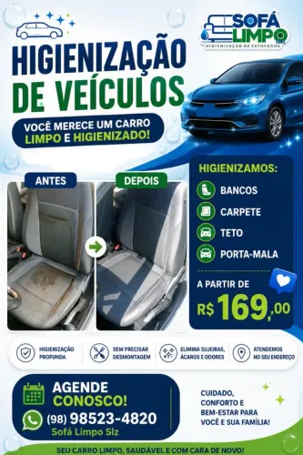 Higienização dos estofados de seu veículo