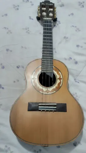 Cavaquinho de castro 