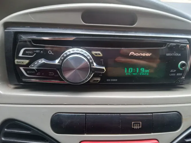 Golfinho da pioneer 