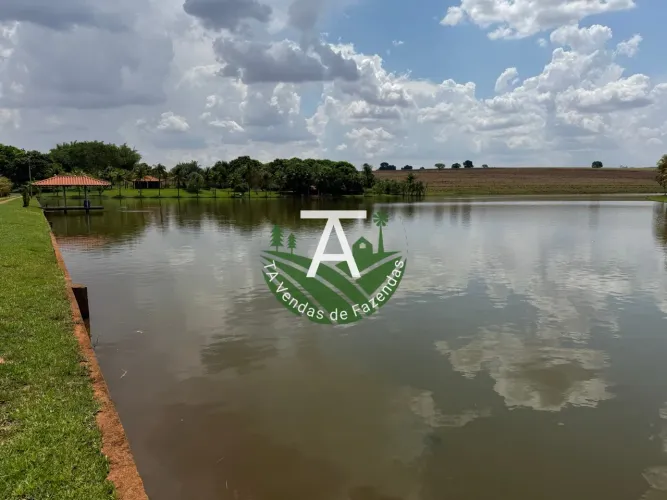 Fazenda 110 alq Quirinopolis GO