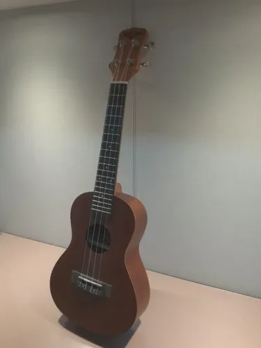 Ukulele Malibu Concert 