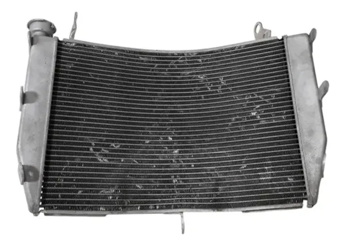 Radiador Suzuki Gsx-s 1000 16/22 Orig C/soldas 54940