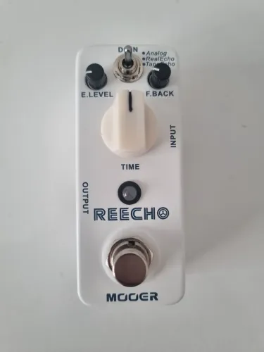 Pedal Mooer Delay Reecho Pro