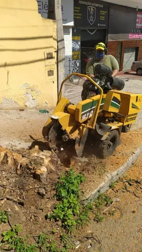 Destocadora / remoção de tocos - locação de maquina.