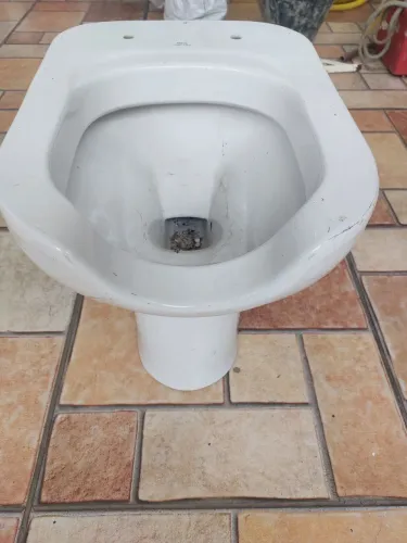 Vaso sanitaro para deficiente pne