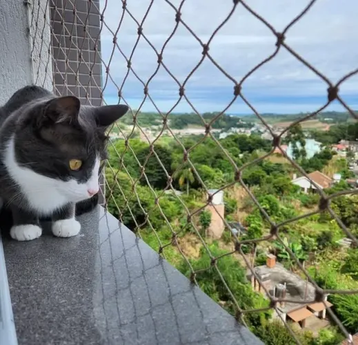 Telas de proteção janelas e varanda