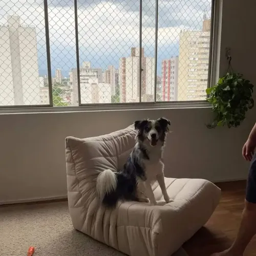 Sofa Togo Modulo 1 Lugar ( Poltrona ) 