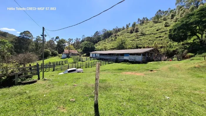 Fazenda 68 Hectares , Delfim Moreira MG <br><br>São José Do Alegre M/G