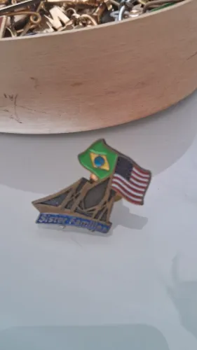 Broche Sister Cities Brasil e EUA