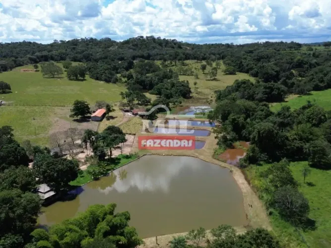 Chácara 8,11 alqueires ( 39,3 hectares ) Petrolina de Goiás - GO