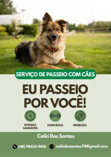 Passeio com seu cão!