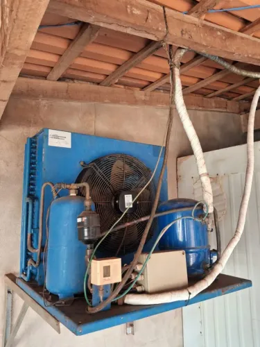 Câmera fria, congelamento tm 5/4, motor danfer