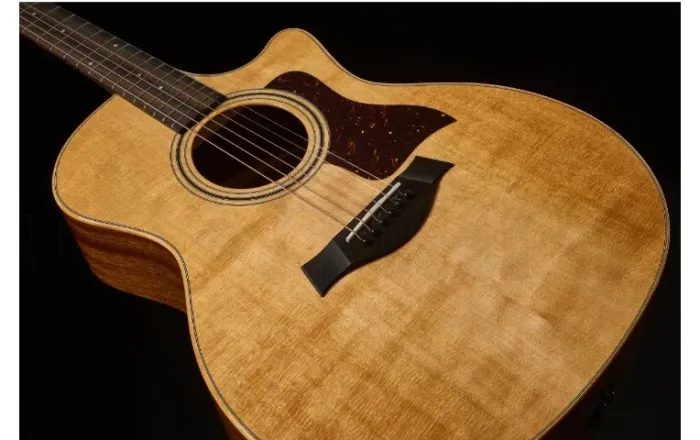 Violão Taylor 314ce Natural
