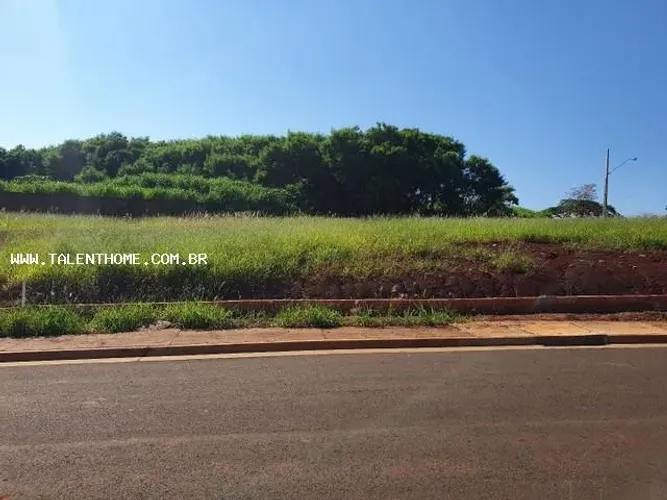 Terreno para Venda em Londrina, Ouro Branco