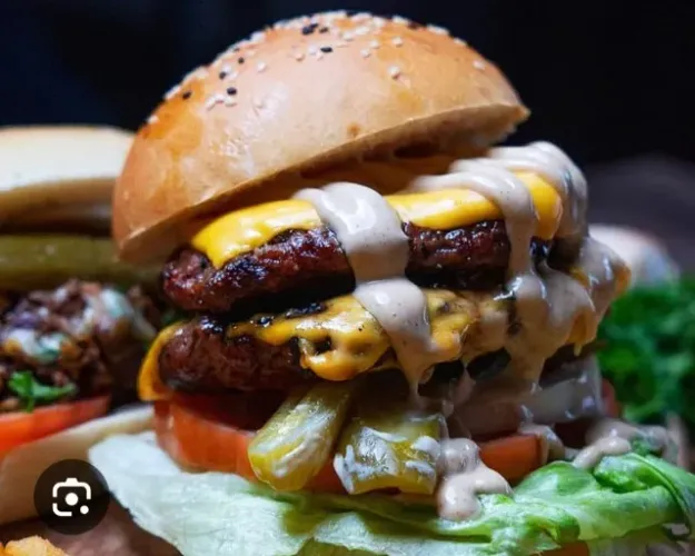 Busco Sócio para Hamburgueria
