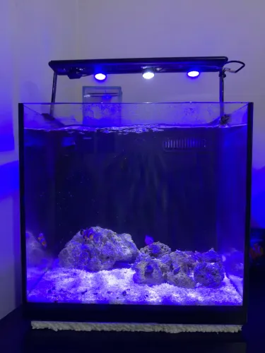 Vendo aquário marinho completo 