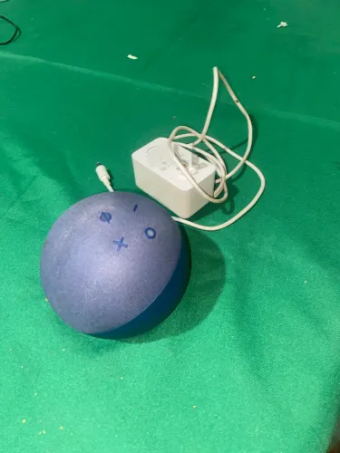 Alexa 5a
