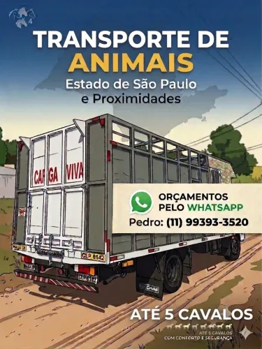 TRANSPORTE DE ANIMAIS