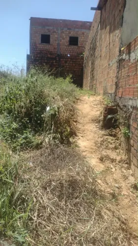 Terreno