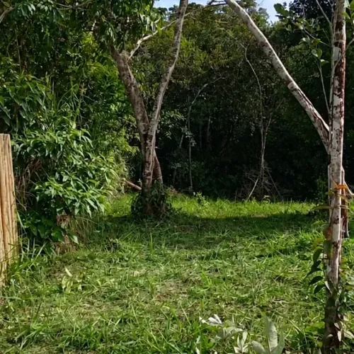 Terreno de 540 m² na Vila Cachoeira KM 9 em Itacaré
