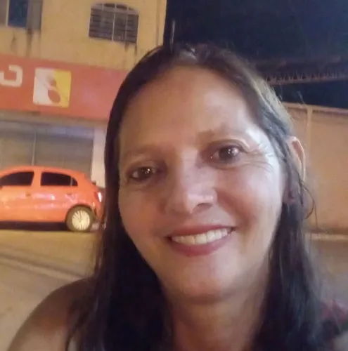 Sou diarista