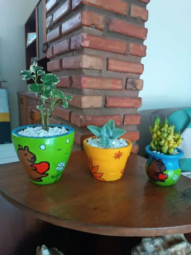 Vasos artesanais com e sem plantas 
